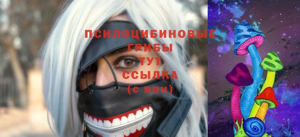 дурь Саяногорск